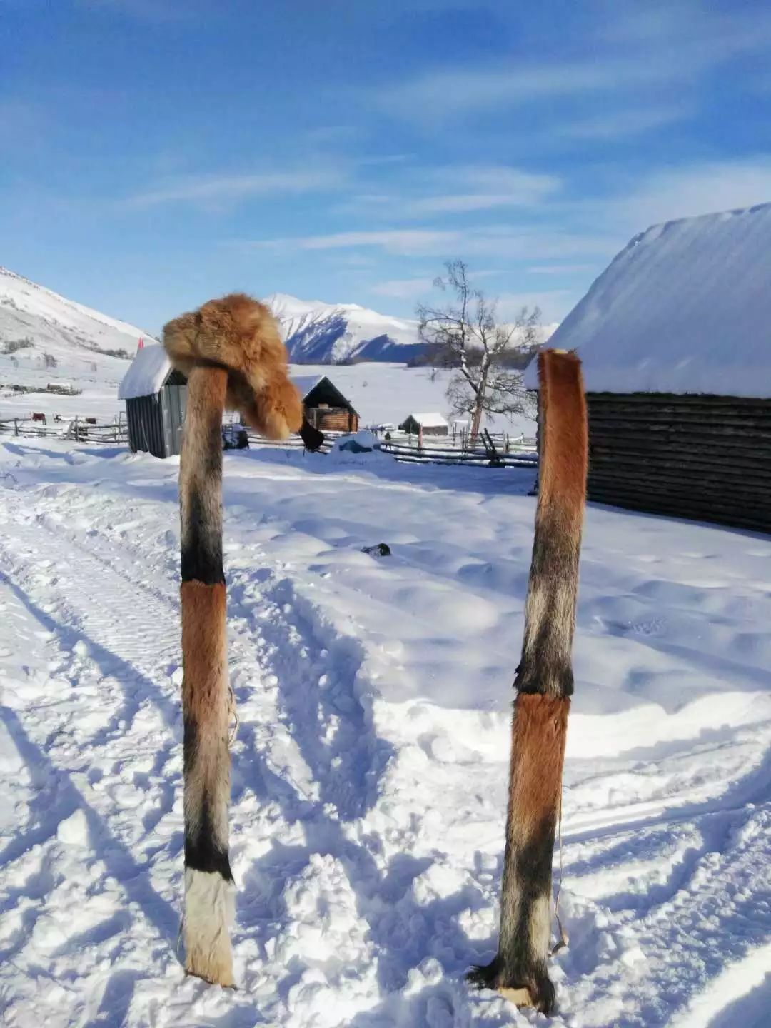 最新复航通知乌鲁木齐到贵阳,乌鲁木齐洛阳曼谷航线4月12日复航