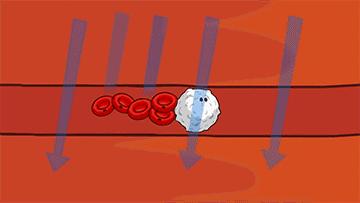 这12个坑人的养生建议,千万别信的十个养生建议