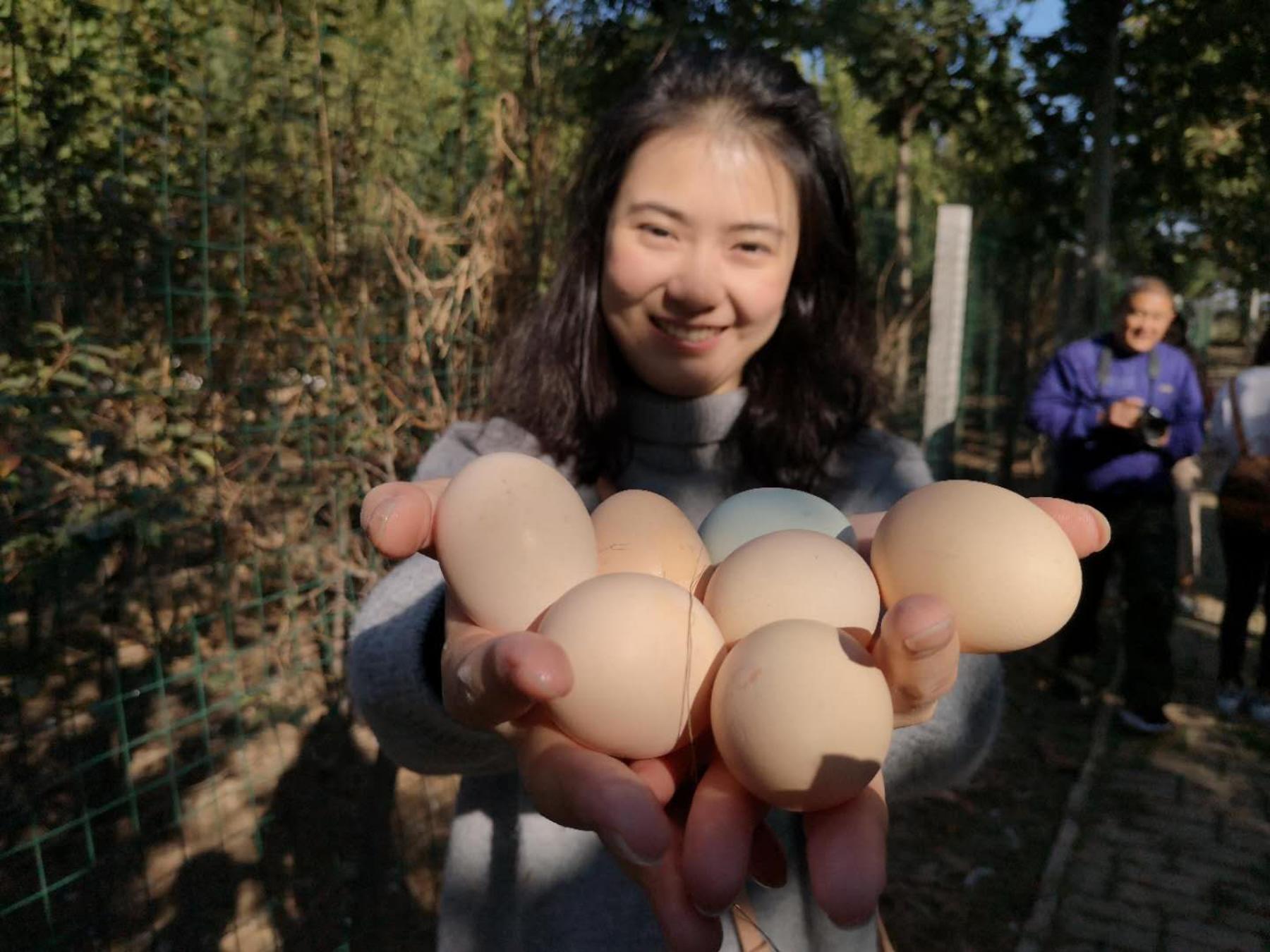 汶上芦花鸡养殖,汶上芦花鸡地方名吃