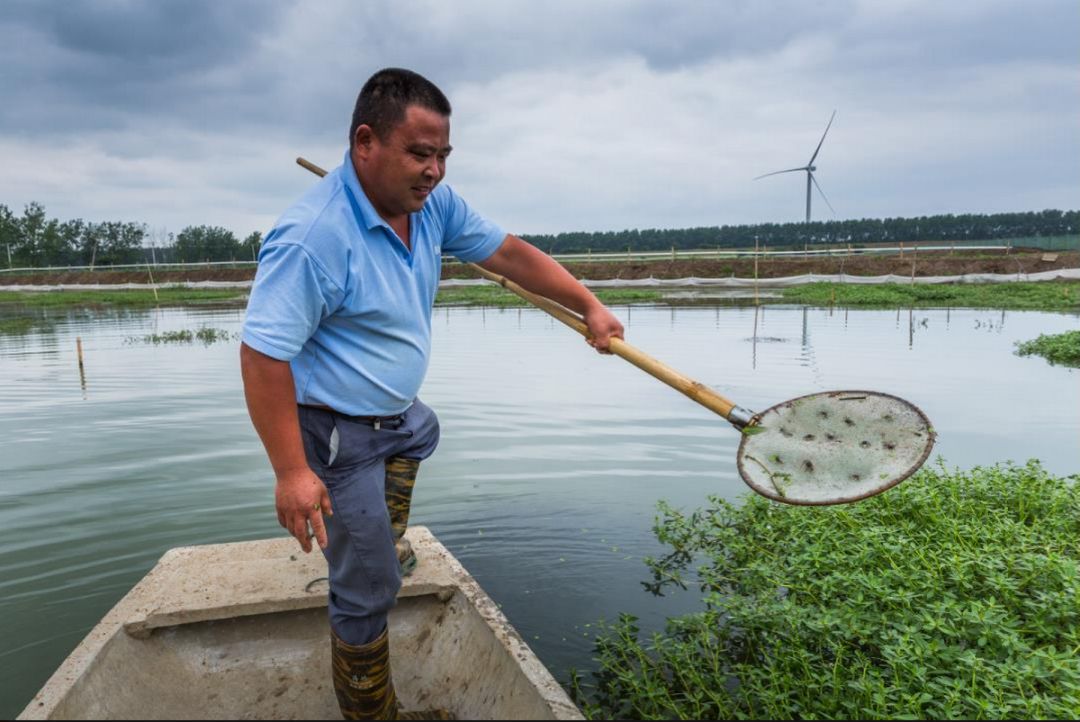 大闸蟹各部位千万别吃图解,大闸蟹这四个部位不建议吃