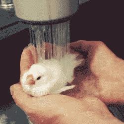 天气越来越冷浴霸安全吗,潮湿的天气用小太阳有用么