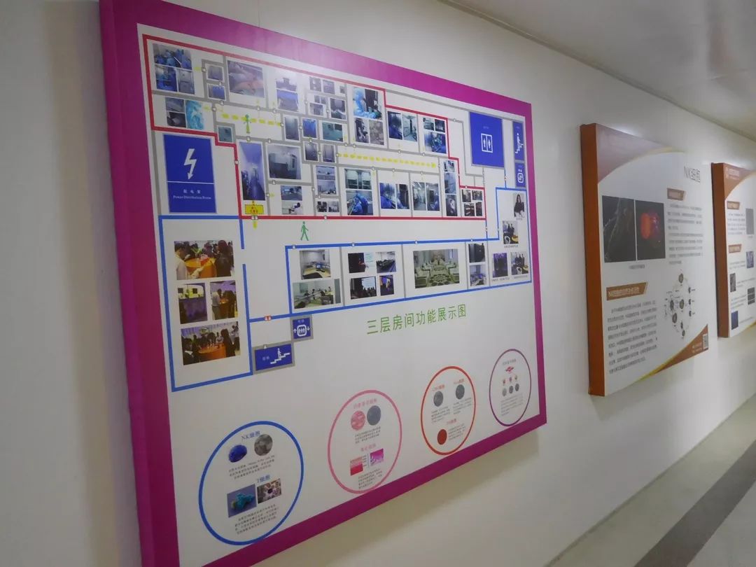 nk免疫疗法癌症,nk免疫疗法和正常细胞的区别