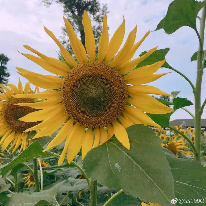 带你看美丽的厦门海边美景,厦门海洋最美丽的风景