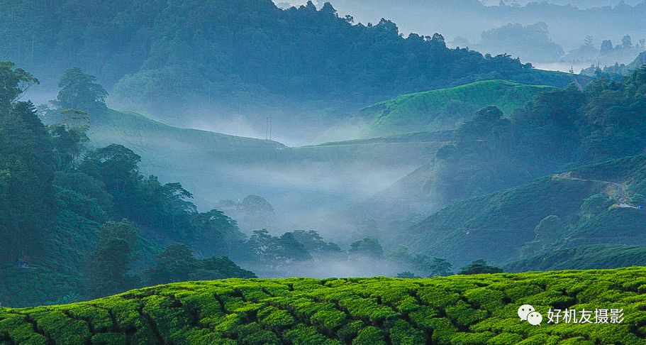 清晰度和锐化对比图,清晰度和锐化两个都需要调整么
