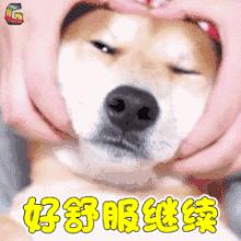 一周泡一次脚效果怎么样,每天泡三次脚正确方法