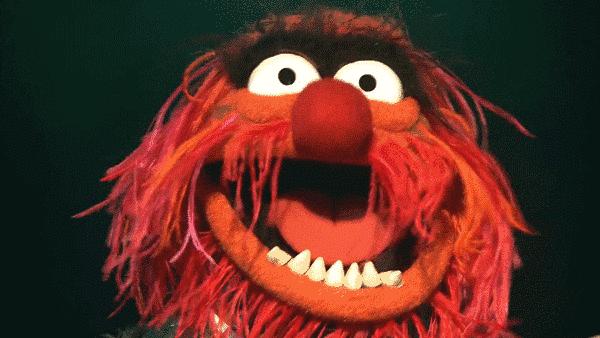 掉多少根头发才算脱发,一天掉多少根头发叫脱发