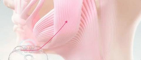 大表姐雷厉风行,宁赔1.6亿也要划清界限,爱得干净