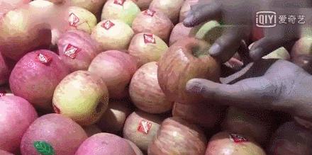 坏掉的苹果有什么用处,坏掉的苹果