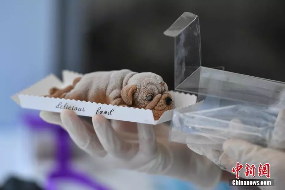 友谊中要注意什么,友谊消化科普