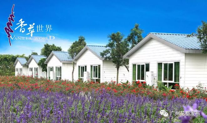 广东十大绿美森林小镇投票,2019年广东省森林小镇认定名单