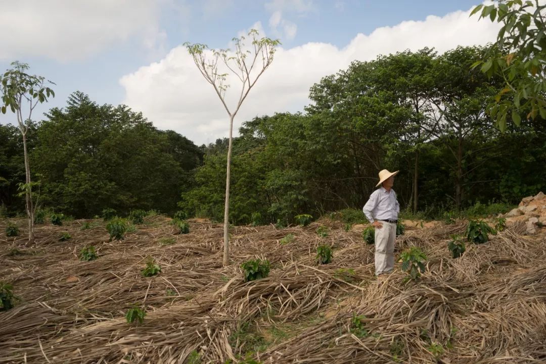 海南好喝的咖啡推荐,海南最正宗的咖啡