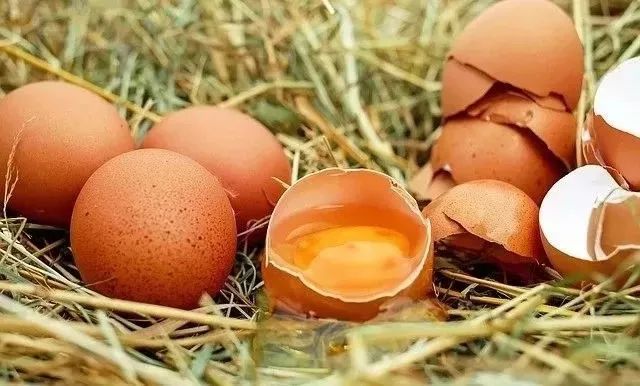 食物一部分烂掉可以吃吗,食物烂了还继续吃