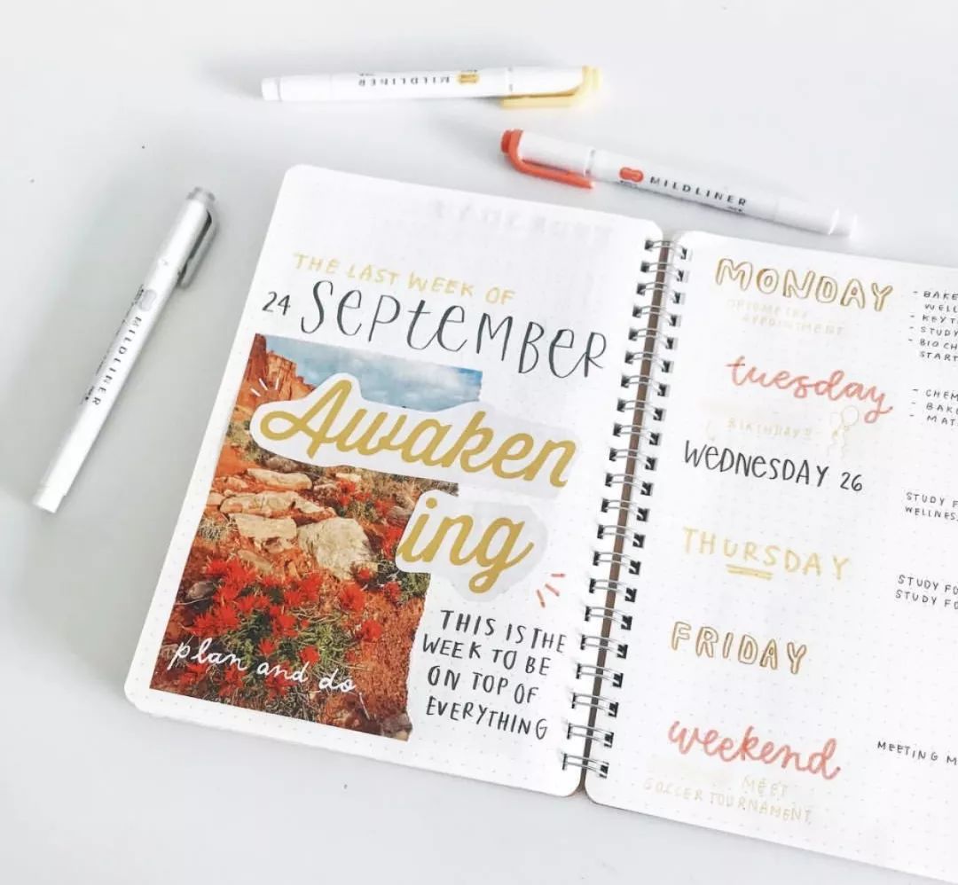 又简单的又好看手帐排版,超简单的手帐排版教程