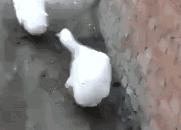 为什么键盘字母排列顺序是这样的,键盘上的abcd和qwerty