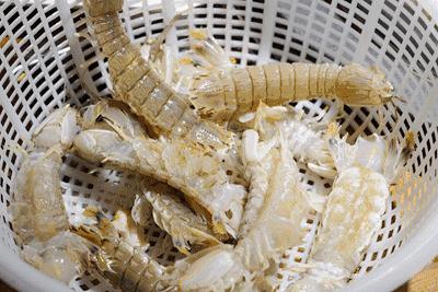 吃过广东濑尿虾，你就再也看不起小龙虾