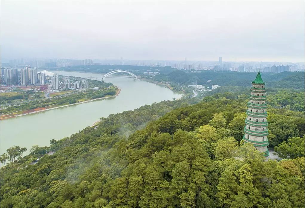 骞胯タ涓尰绁炲尰鍏嶈垂鐪嬬梾,涓尰鍏嶈垂鏀跺緬