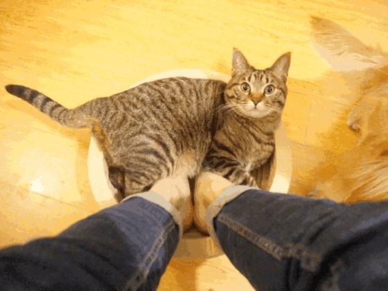 天气暖了身上冷怎么回事,天气很暖为啥总感觉冷