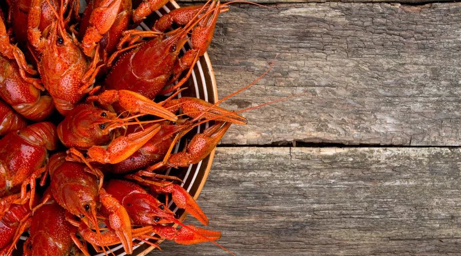 人体缺乏酵素谣言,长期吃酵素对癌症有效吗