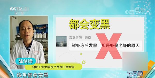 冻虾呈蓝色绿色能吃吗,冻虾变蓝绿色还能吃吗