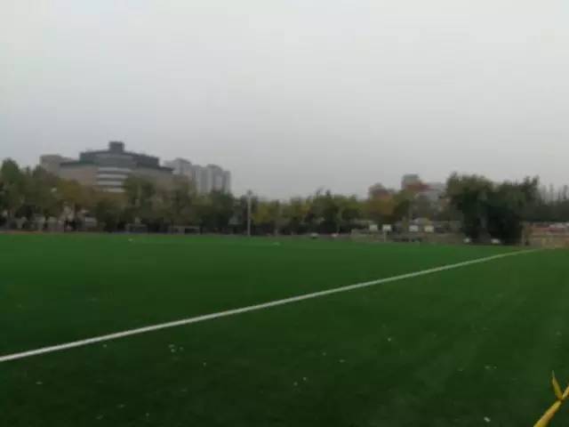 大连东北路小学南关岭足球比赛,大连东北路小学足球训练