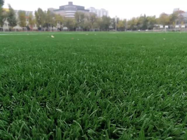 大连东北路小学南关岭足球比赛,大连东北路小学足球训练