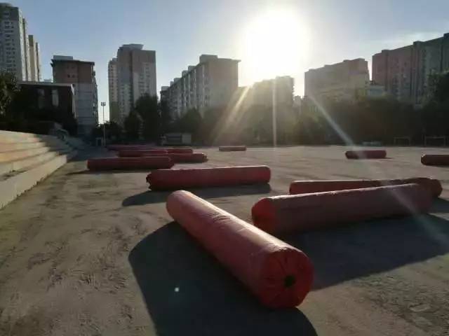 大连东北路小学南关岭足球比赛,大连东北路小学足球训练