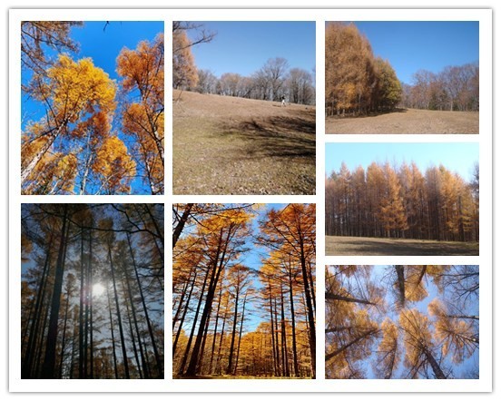 汪清直播外景,汪清户外直播