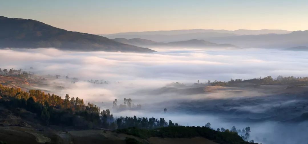 分享家乡美食特产诉说人文历史,分享家乡独特味道