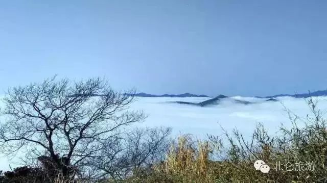 爱爬山的人都爬什么山,爱爬山的山里人完整版