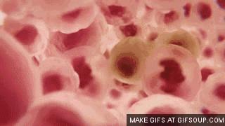 带你声临其境探索宇宙,带你探索维度空间