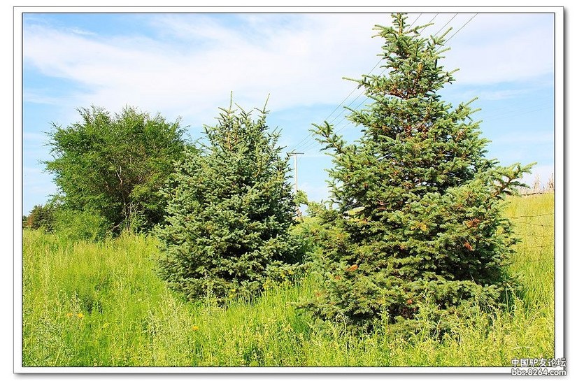 克什克腾白音敖包景区门票,克什克腾白音敖包二道河子景区