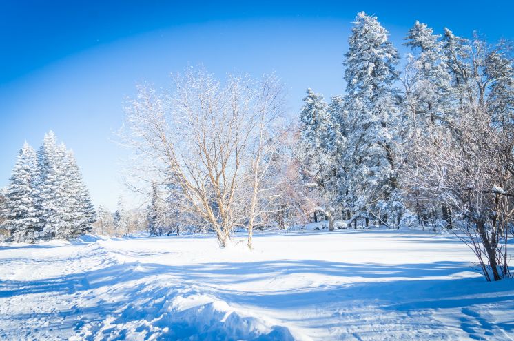 刘烨一家三口野外生活,刘烨旅游