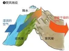 干热河谷种的热带水果,攀枝花干热河谷的热带水果王国