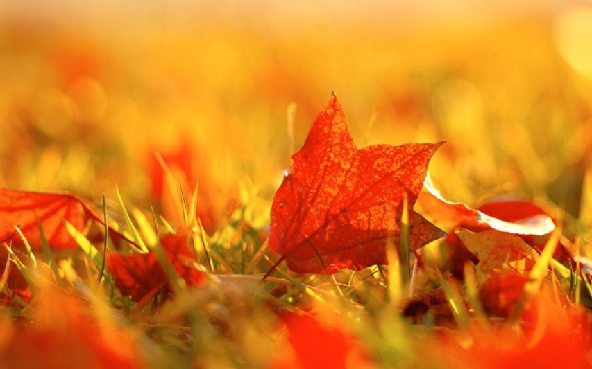 治秋燥最好的偏方,防秋燥的保健方法