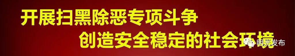 「荐读」一“榉”成名自来桥！