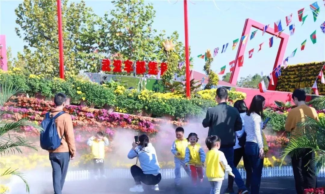 体育中心看展菊,在体育中心玩乐的一天