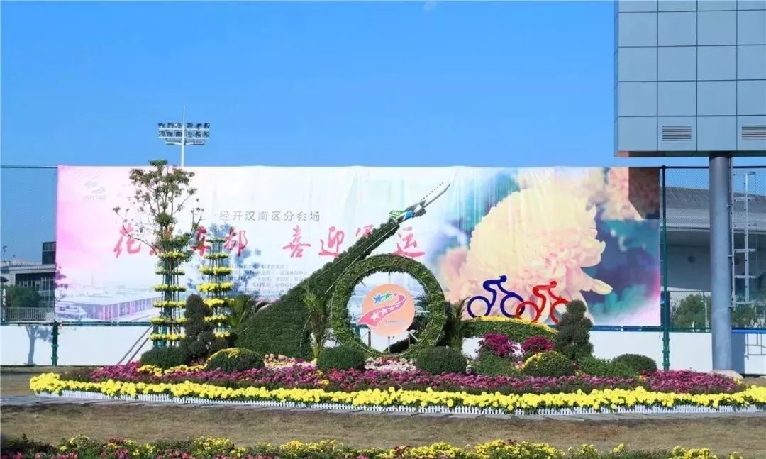 体育中心看展菊,在体育中心玩乐的一天