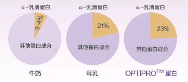 引发澳洲各大媒体争相报道的TA，凭什么可以C位出道？