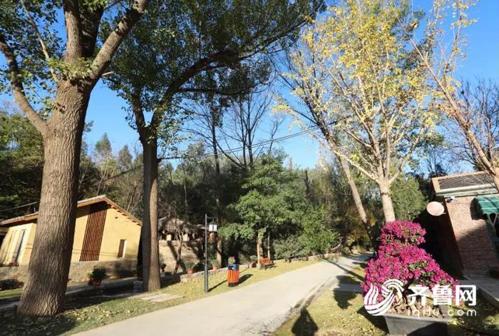 比学赶超提质增效,比学赶超奋勇向前