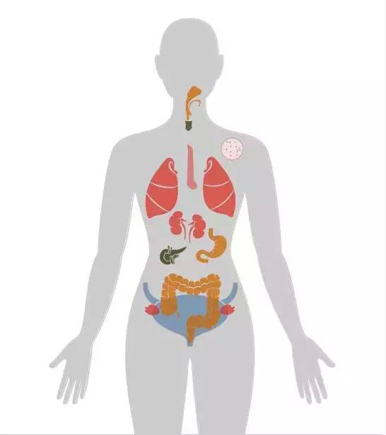 18张癌症人体地图，揭秘致癌真相！