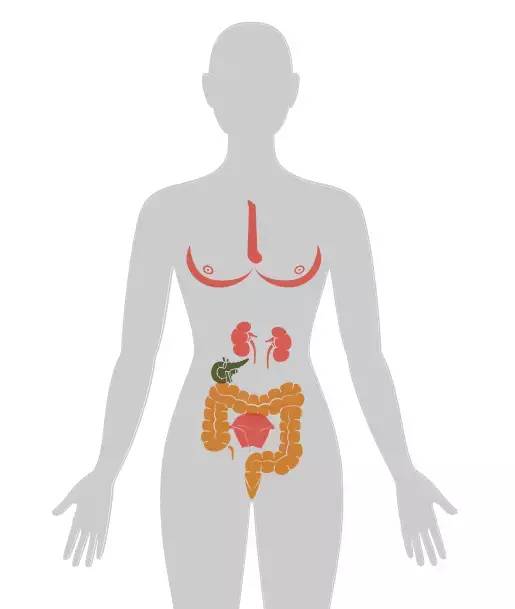 20个癌症的真实案例,13种癌症最新研究报告