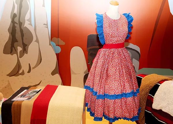 进博会的产品在哪里可以买到,进博会买什么好货