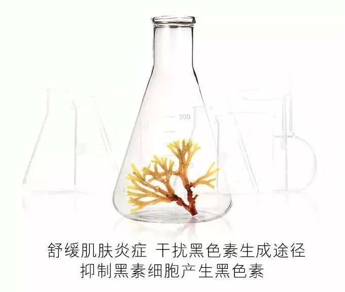 省钱收缩毛孔祛黄美白方法,怎样做轻松美白祛斑