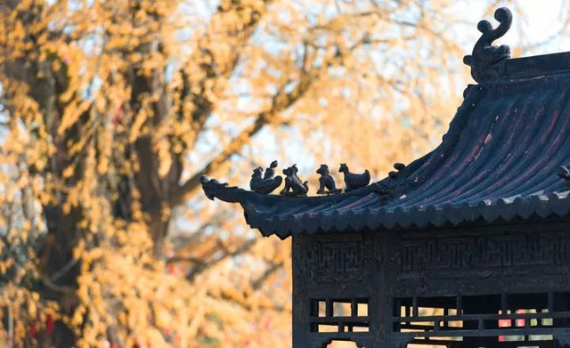 南京最美赏秋地点,南京赏秋之旅