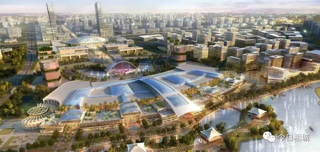 相城这家“小老弟”企业，凭什么敢做三星的“挑战者”？