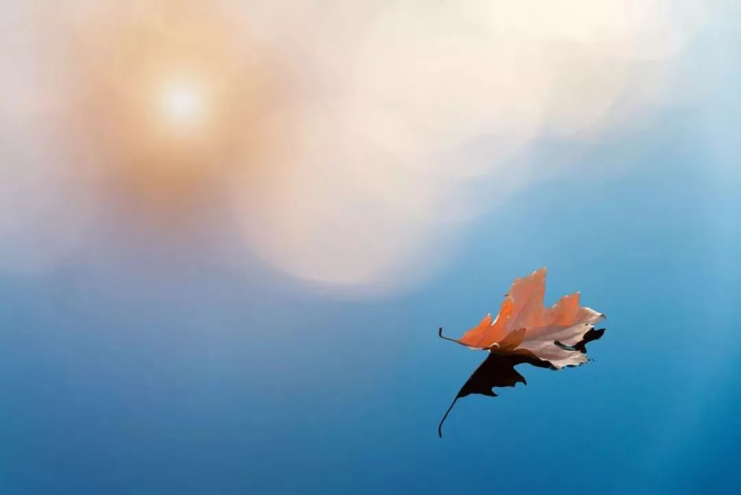 最容易错的常见的成语,50个常考常错的成语