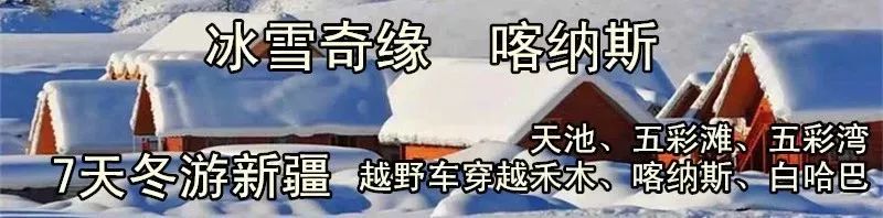 旅行社内部人员揭密旅游“*规则潜**”，国内各大景区慌了……