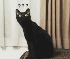 公安查获40余万种假药假消息,警察查获假毒品