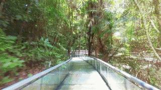 清凉寨玻璃漂流是下山了吗,清凉寨玻璃漂流