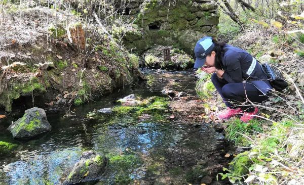 靖宇县中国第一矿泉城,靖宇有几家矿泉水厂